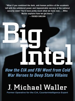 cover image of Big Intel